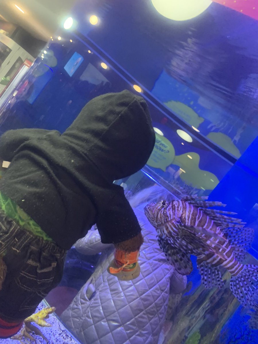 Captincrinkles's tweet photo. Think the fishes in Toronto were my favorite, but I’m kind of biased being a captain. Anything water is amazing. I had a blast, thanks to a friend and a FE for the ticket. There always better days ahead. Even if there bad ones in between  trying keep positive. https://t.co/M3TXLMpryY