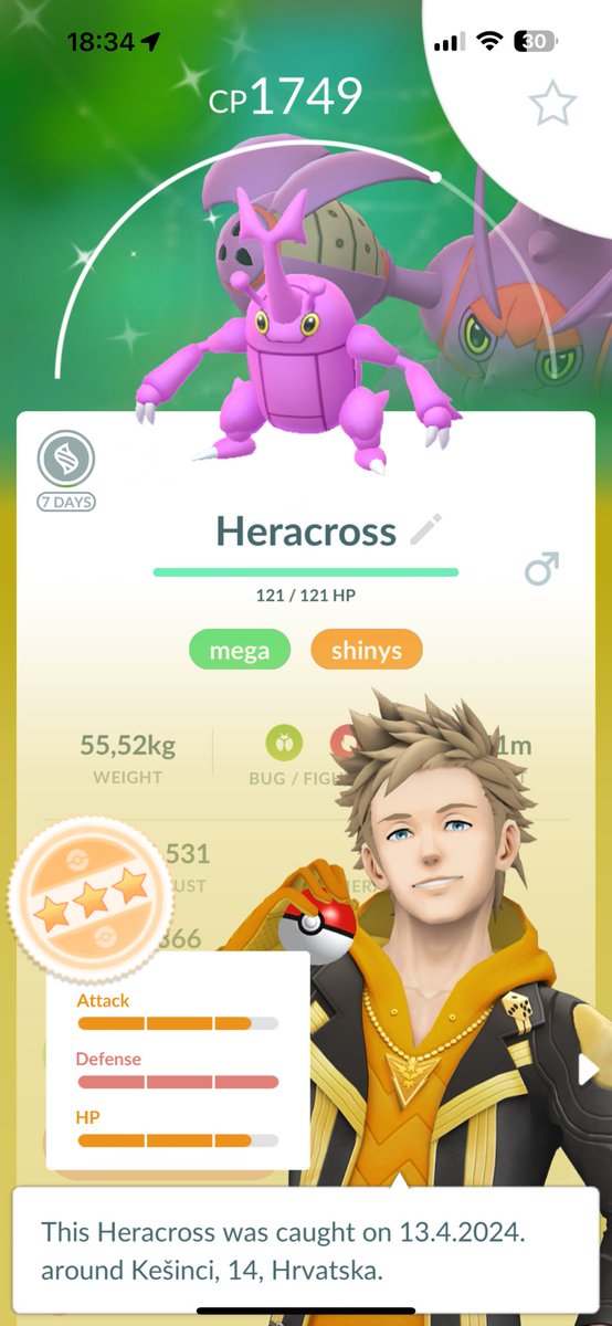 gunner2811's tweet photo. 2 hundo and 2 shinys heracross from today raid day https://t.co/IFoFbJ8VIT