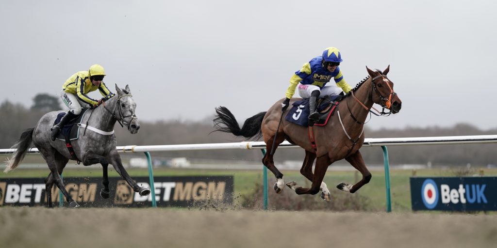 TRIPOLI FLYER (tipped each way at 8/1) manages to place for us finishing 2nd in the 'Lucky Last' at the 2024 Aintree Grand National Festival.

The end of another Festival guys where I was glad to see us having a pretty good day. 😀🏇💨👍

#AintreeFestival
#HorseRacing