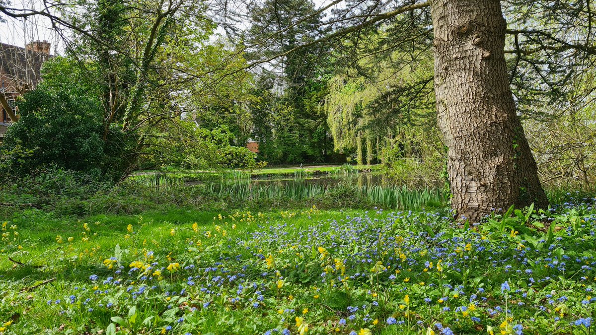 Thanks Martin and all for a spectacular walk today with the @GayOutdoorClub1 Hertfordshire group, with bluebells galore! #lgbtoutdoors