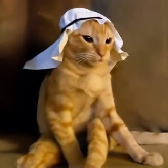 SpyderX159's tweet photo. Happy Saturday to all my #HoodieGang @CMXC1X #snapcat @TheTrueSnapcat #BitApes @BitApeCommunity #Arabcat @arabcatcoin family. #BTc #Ordinals #SolanaMemeCoins #SOL https://t.co/RFvYXSWC8n