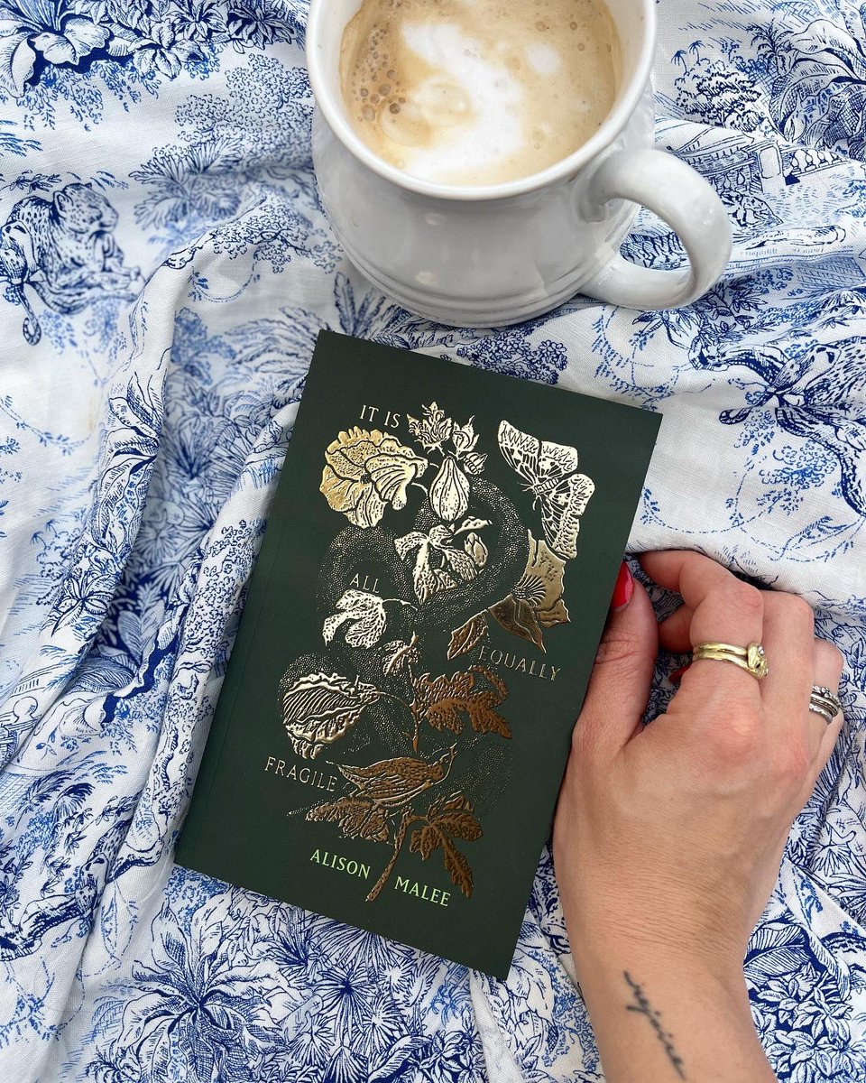 Alison Malee tweet media