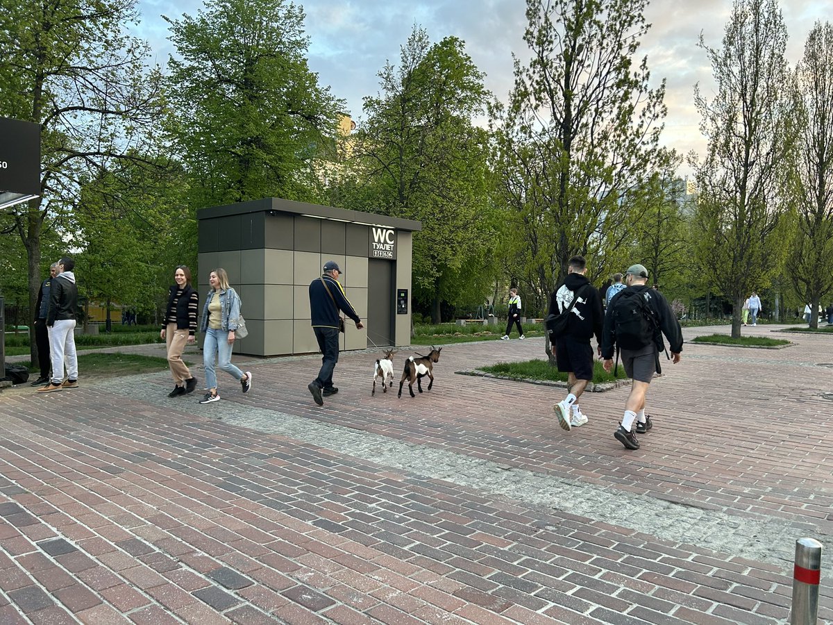 There’s a man in central Kyiv just casually taking his goats for a walk