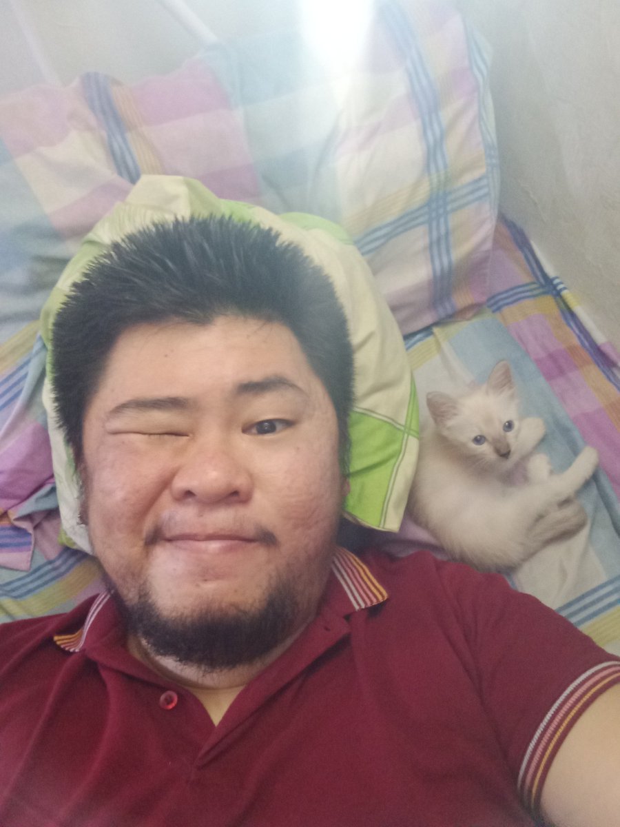 cub_training's tweet photo. We've been sleeping in my bed the whole day. πΉπ΄
#PinoyBear #PinoyCub #PinoyDaddy #PinoyDadBod #AlterPinoy #AlterCubao #AlterQC #AlterManila skskwks. https://t.co/TKyWBUr4mW