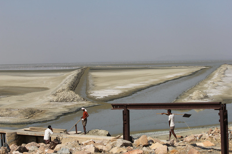 Alok Dhanwa wrote, 'And land — Which is more ancient than fruit As ancient as seed — And walking on land — Is such an easy thing And still, watching someone walk on land Is witnessing an ancient scene.'