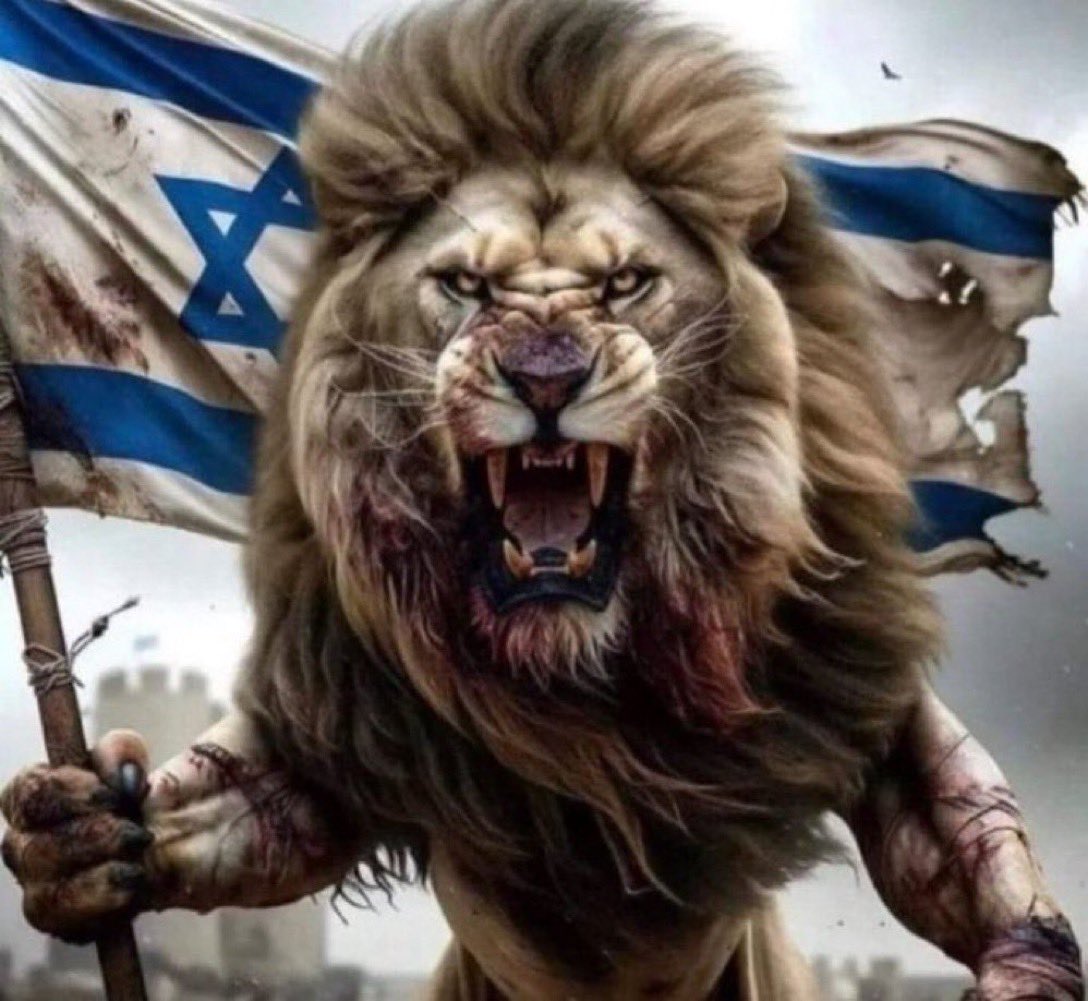 No se metan con Israel, Israel no entra en juegos: Israel está preparado para absolutamente todo. Irán si estás planificando un ataque contra Israel, piénsalo 100 000 veces, porque de perpetrar tu ataque representará tu extinción absoluta, porque nada ni nadie podrá frenar al
