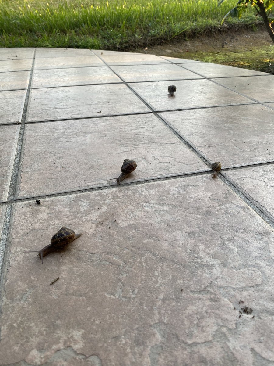 If U come over don’t step on any of the snails or I will come for U