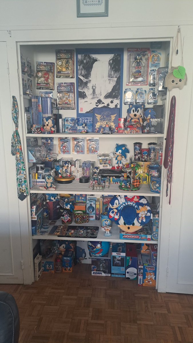 Tanguy_Ptro37's tweet photo. Zebulon est mon nom, Sonic est ma passion ! 

Je suis fan de @sonic_hedgehog et j'aimerai vous partager un peu ma #collection 
#sonic 
#SonicMovie3 
#sonicfan https://t.co/EpVkRHzVqL