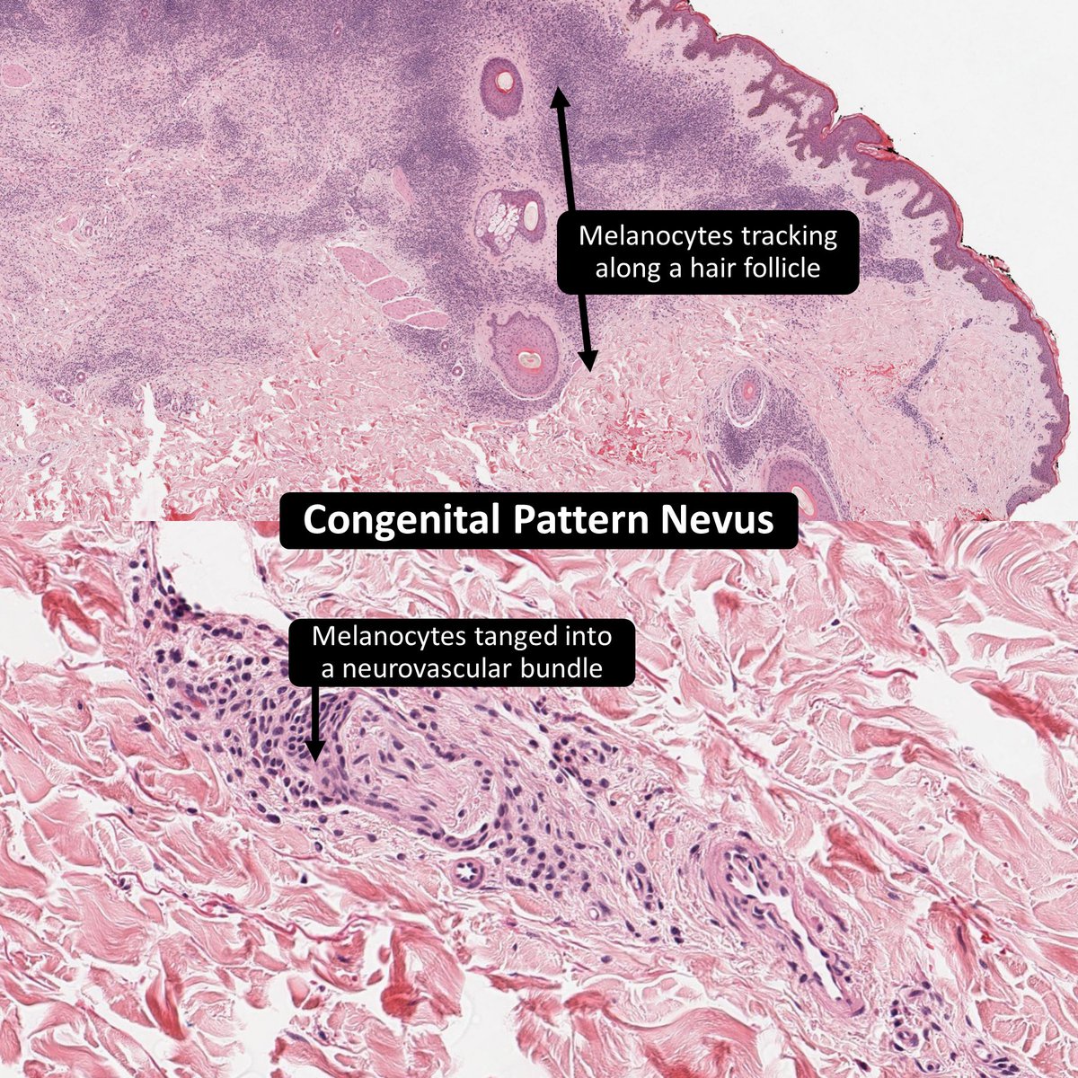 DrCycloPath tweet picture