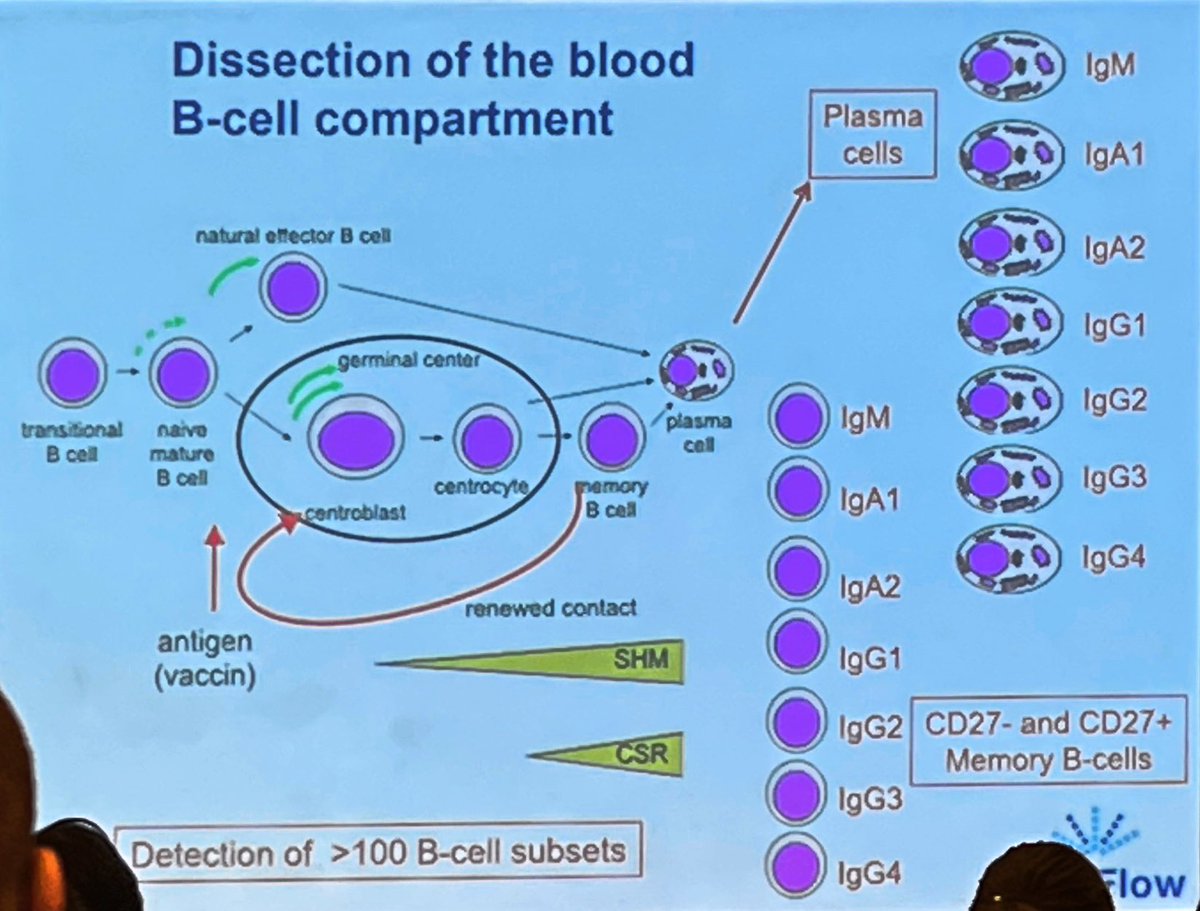 _priteixeira_'s tweet photo. A brilliant explanation about immune monitoring by Prof Jacques von Dongen. Such a complex e important subject!
#flowcytometry https://t.co/sGToMyn5wD