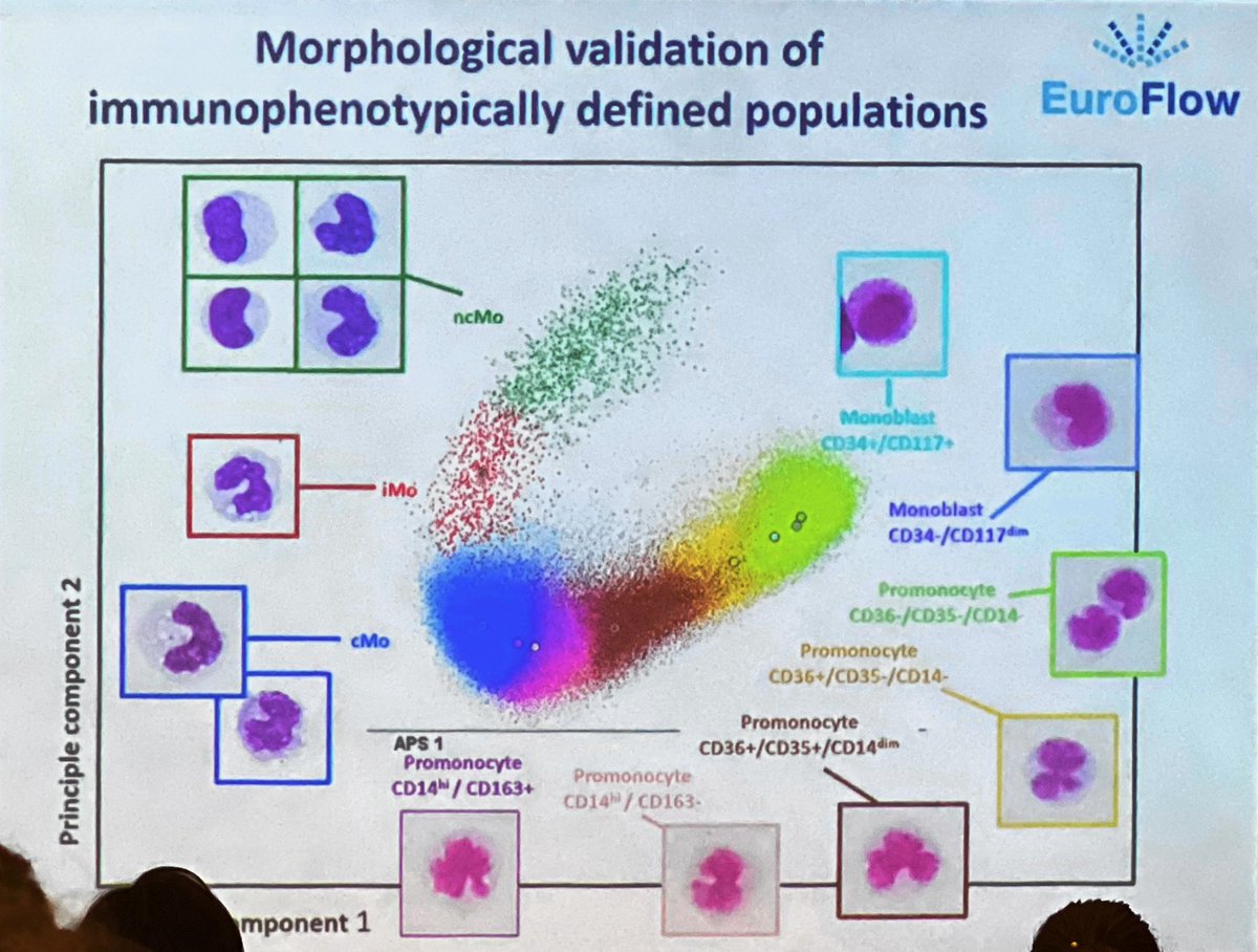 _priteixeira_'s tweet photo. A brilliant explanation about immune monitoring by Prof Jacques von Dongen. Such a complex e important subject!
#flowcytometry https://t.co/sGToMyn5wD