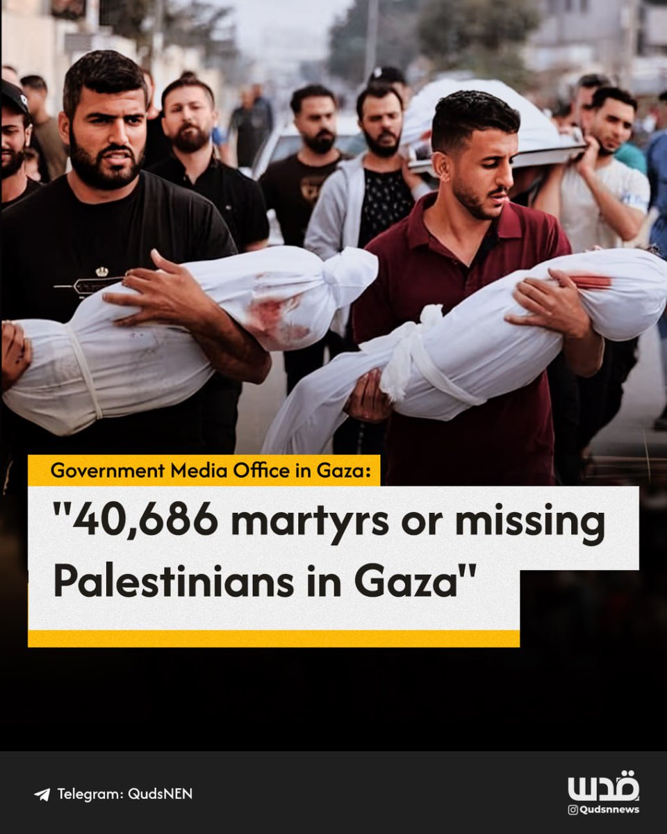 The Government Media Office in Gaza reports that since the beginning of the Israeli aggression, the Israeli occupation has committed 2,973 massacres against Palestinians in Gaza.