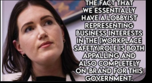 VeronicaGlamis's tweet photo. A young, privileged, inexperienced woman whose internship has been with a lobbyist now holds a crucial Portfolio as a Minister of the Crown. This is Aotearoa NZ of 2024..#ThisIsNotUs https://t.co/lNBot8TyPw