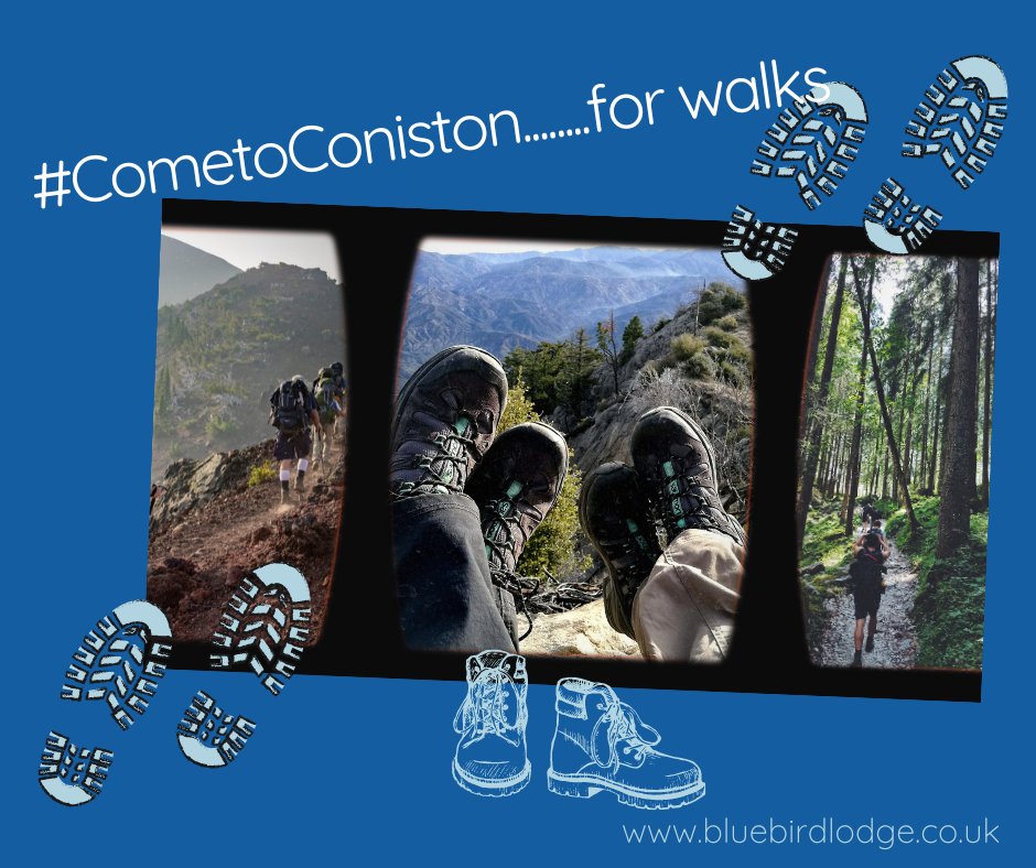 Are you a hiker, a rambler or an ambler? Whatever your preference there are plenty of walks for you direct from our door. What's your favourite?
#CometoConiston #conistonwater #lakedistrict #mindfulwalking #dogfriendly #conistonoldman #tarnhows #freshair #hiking #hikingwithdogs