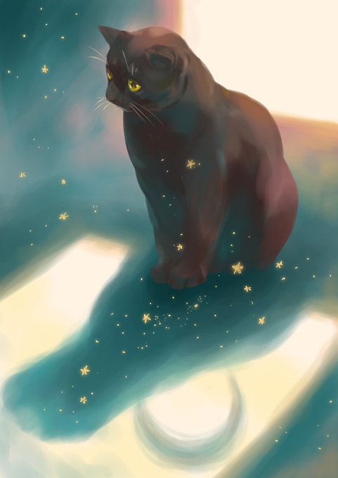 「black cat whiskers」 illustration images(Latest)