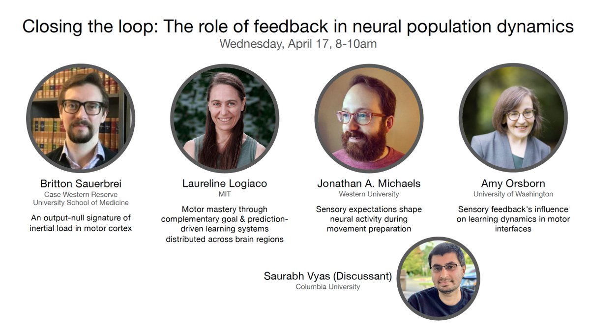 Very excited for our excellent panel on the role of feedback in neural population dynamics next week at #NCMDub24! With contributions from @bsauerbrei1, @LLogiaco, @neuroamyo, & @SaurabhsNeurons.