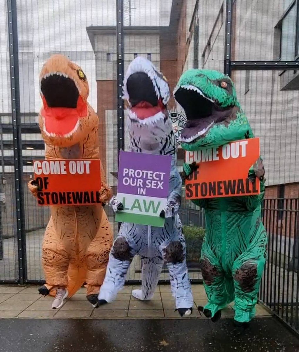 Throwback to when WRN NI women were campaigning around Belfast for the @PoliceServiceNI and @BBCNewsNI to come out of #Stonewall diversity champions scheme and start listening to women. #TerfsWereRight