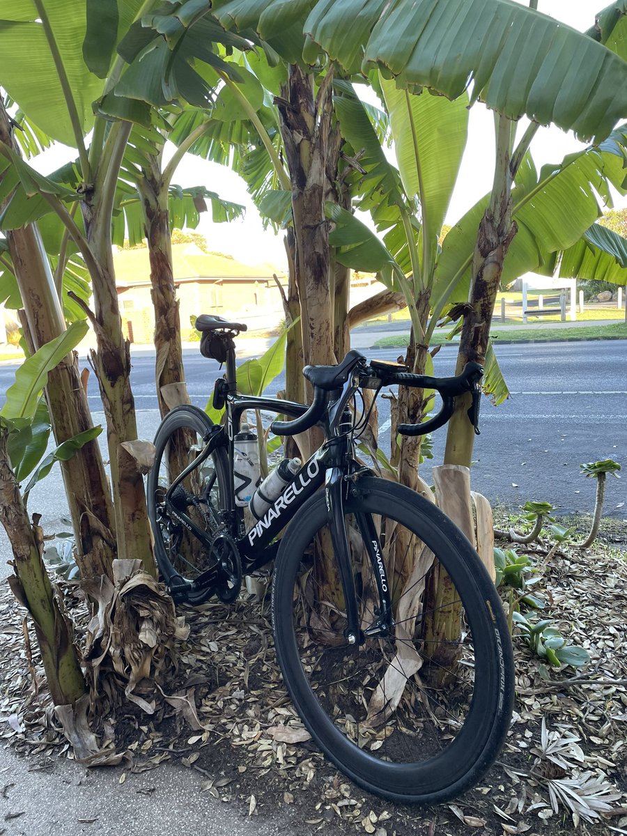 “Occasionally the beast emerges from the wild to forage for coffee and blueberry danish”.

#cyclinglife