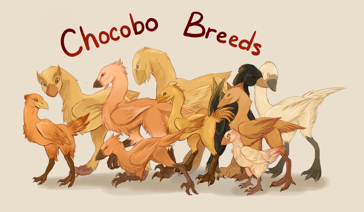 I'm pretty sure it's stated in game that chocobo are bred to accommodate different race sizes, so I thought it would be fun to design them as different breeds. Incoming thread for details!