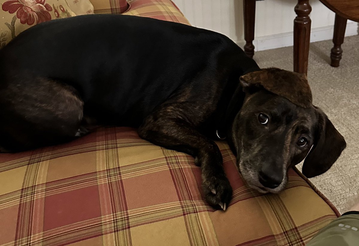 Tyler Taylor tweet media