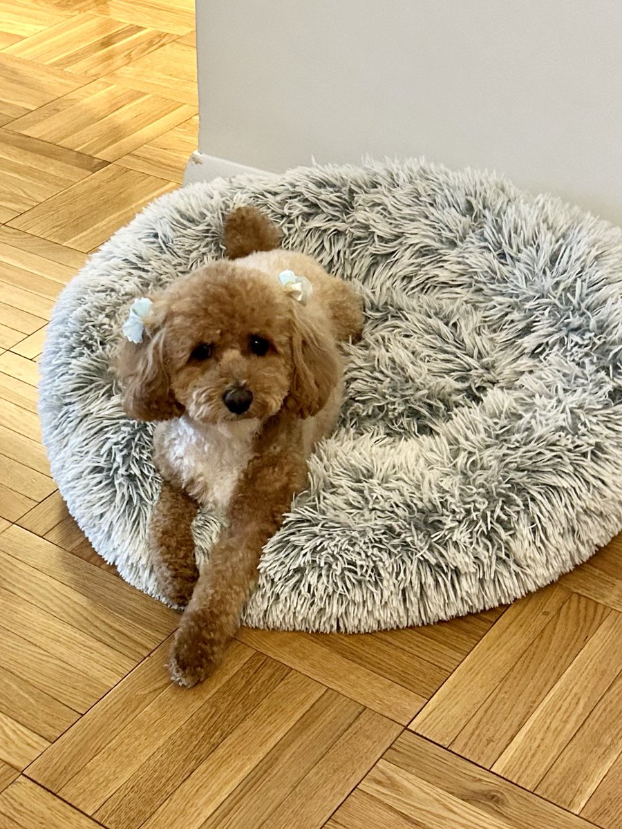 Jackie DeAngelis tweet media