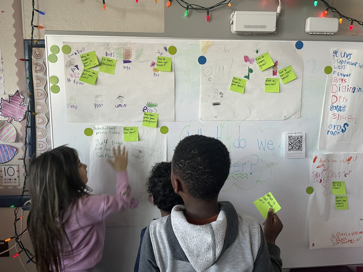 Ss scanned the QR codes to revisit the provocation from the previous day. Today we focused on our questions! We organized into groups and recorded our questions onto sticky notes and attached them to our observation papers from the previous day. So many questions to research!