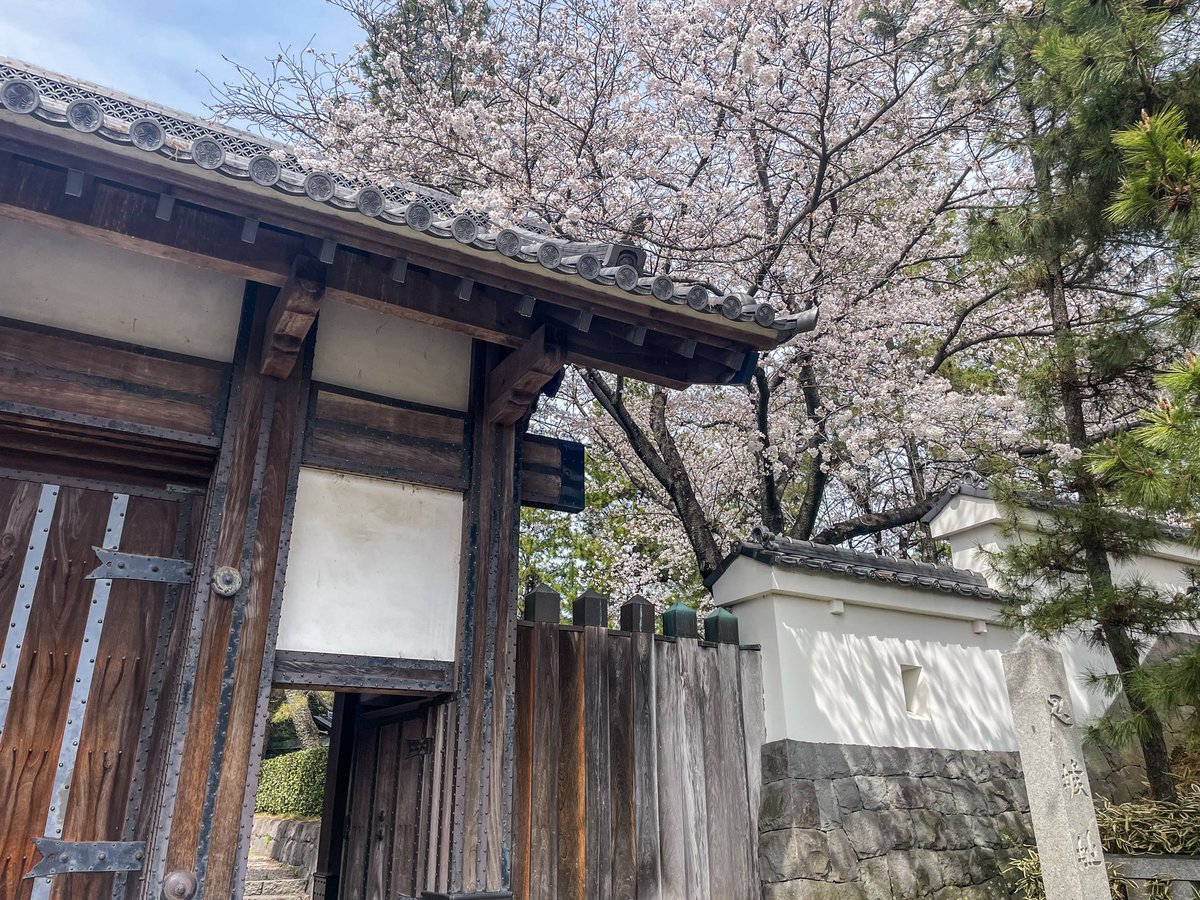 sunnonkai_tw's tweet photo. 忍城（埼玉県行田市）
先週(4/7)の桜🌸の様子。満開でした。今日あたりは見頃を過ぎているかもしれませんね。
昼頃では郷土博物館の周辺駐車場も満車でした（10分ほど待ちました）。
#城 #埼玉県 #行田市 #忍城 #桜 #cherryblossom https://t.co/tw3P6r16cQ
