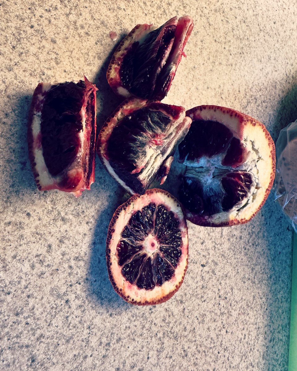 Blood oranges are still sweet and available at our stand in this Sundays market. See you there #studiocity #santamonica #atwatervillage #bloodorange #citrus