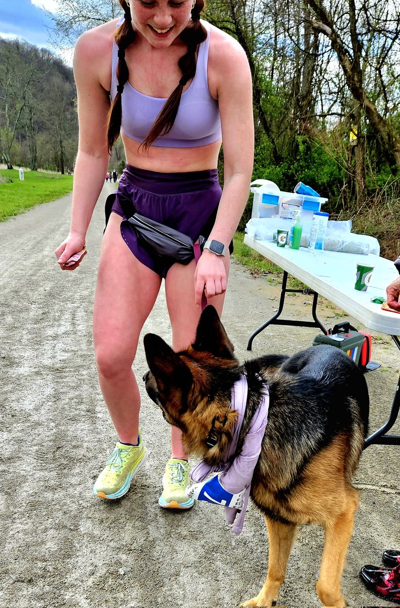 @rexthetvterrier Dogster participant in our fundraiser mini marathon this AM. A real contender!