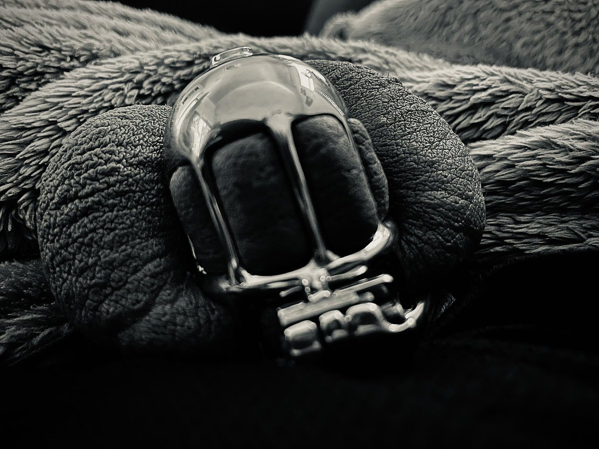 Locked again ⛓️‍💥 

#steelworxx #looker02 #chastity #chastitycage #chastitymale #germanchastity #keuschheitsgürtel #locked #stainlesssteel #chastitybelt #lockedup #lockedinchastity #bdsmcommunity