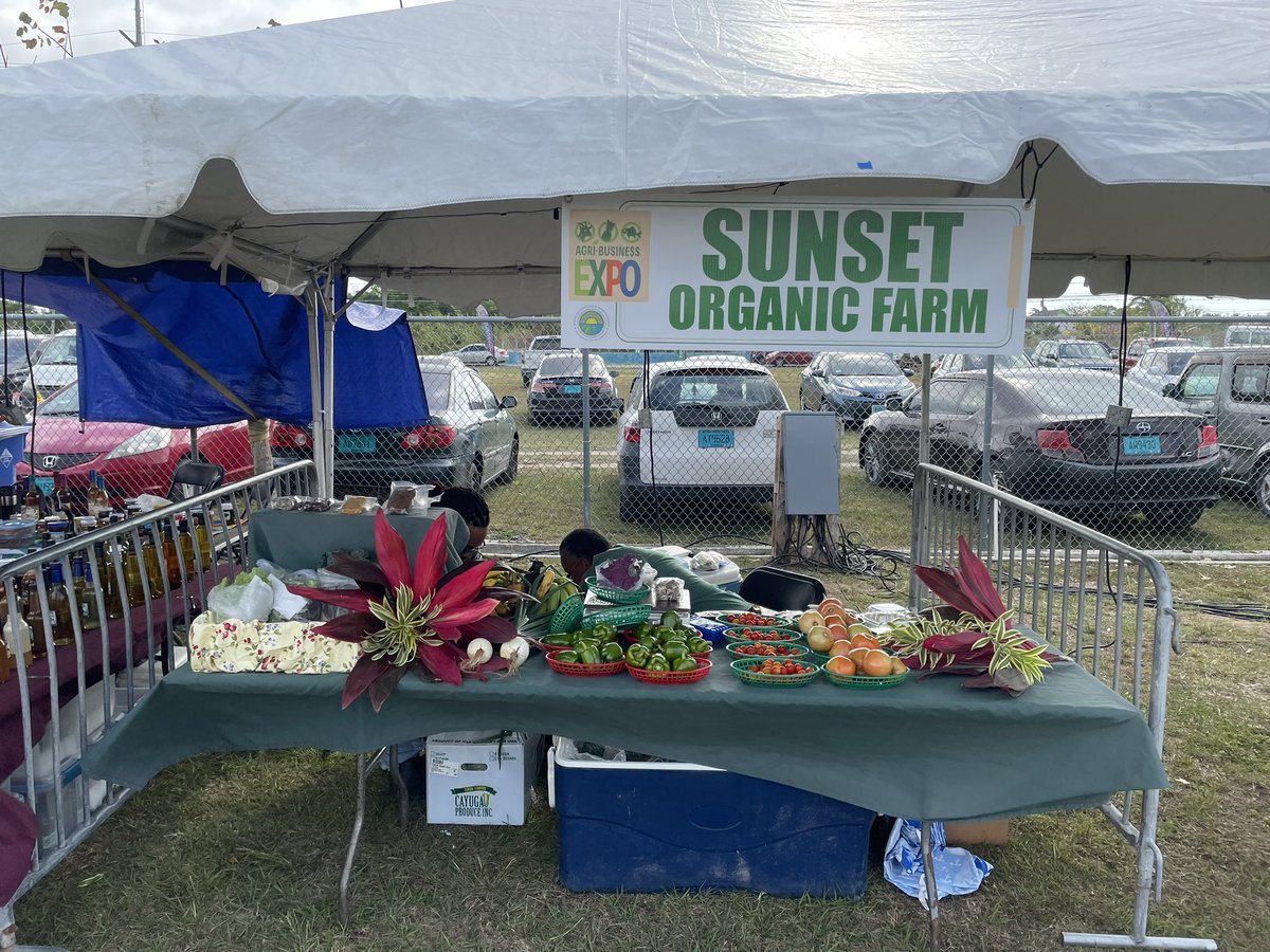 Mother and son duo Whitlyn & Basil Miller of Sunset Organic Farm - specializing in 100% Organic sprouts, micro-greens, leafy greens, root crops, melons, beans and even vegan meats - show off their wares to #MorningBlend on @guardianradio96 at @moamrfia #AgriExpo2024 (Fri & Sat)