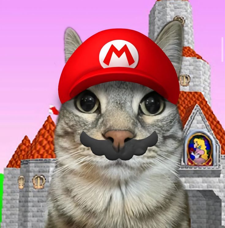 hola, tengan bonito sábado