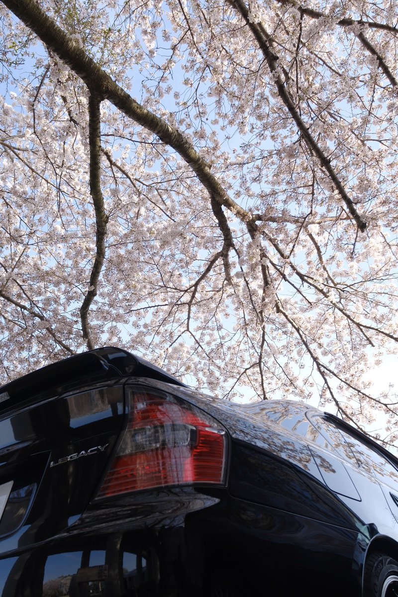 「大串貝塚ふれあい公園の写真 」|おりたこのイラスト