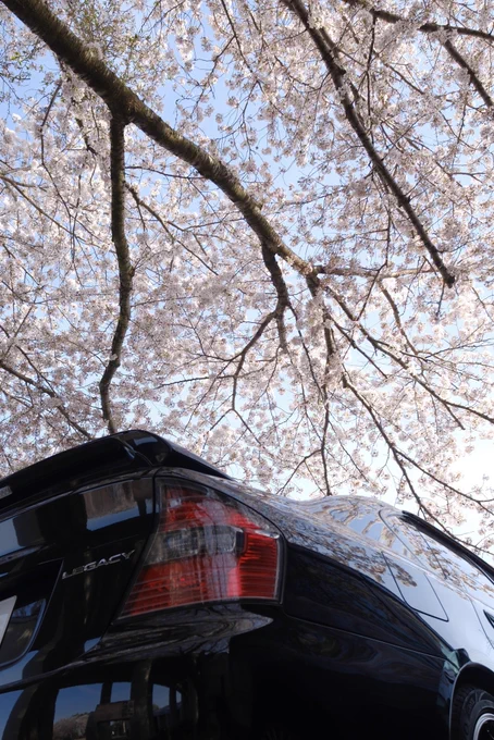 大串貝塚ふれあい公園の写真 