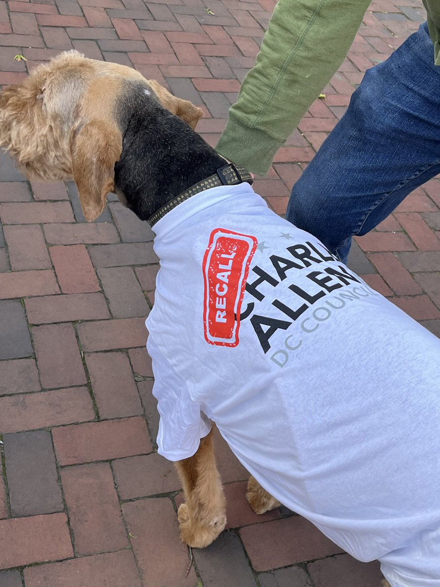 recallallen's tweet photo. #Ward6’s furry constituents join the call for change! #RecallCharlesAllen #ForASaferDC
🔗 to sign the petition:
https://t.co/akBr9bU0D4 https://t.co/1hgNpZsxfo