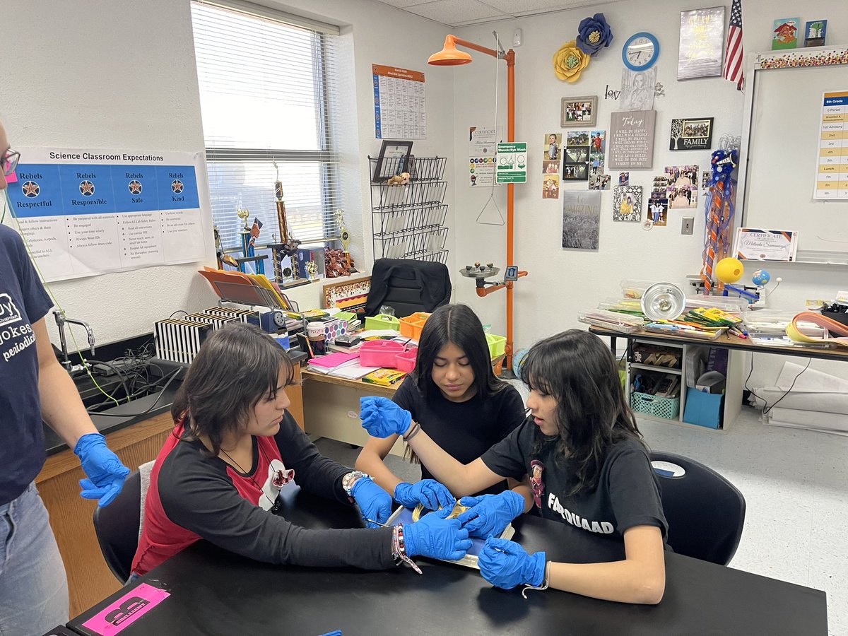 Danny Bustos tweet media