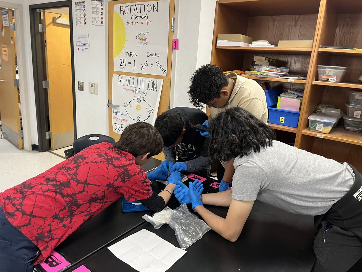 Danny Bustos tweet media