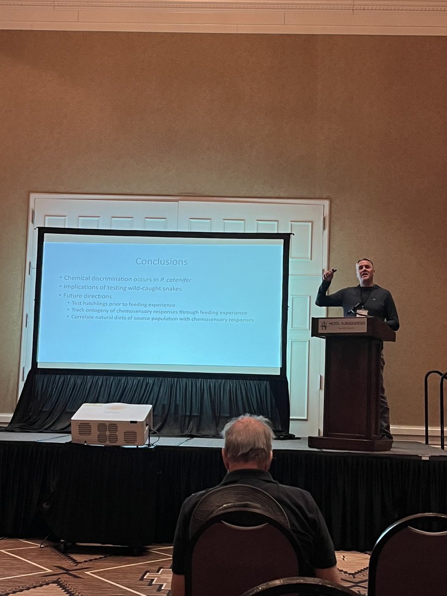ComparativeCog's tweet image. How do #GopherSnakes respond to prey chemical cues? 🐍 MarkKrause’s research reveals they exhibit significantly higher tongue-flick responses to rodent and bird cues compared to controls, indicating chemical discrimination of prey cues. #SnakeBehavior #PredatorPrey #CO3_2024