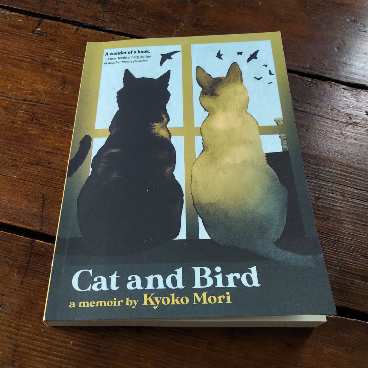 Congrats to Kyoko Mori on the publication of her memoir 'Cat and Bird,' a meditation around Dorian, Oscar, Ernest, Algernon, Miles, and Jackson, her beloved companion cats.