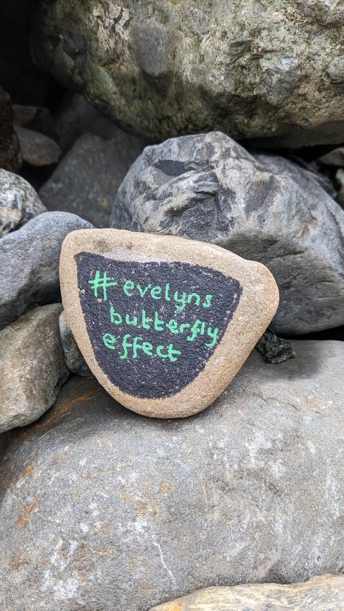 BeebsM1's tweet photo. Hoping this lifts someone's day @evelyn_b_effect #evelynsbutterflyeffect #skye #scotland #fairypools https://t.co/4k21rwXV9m