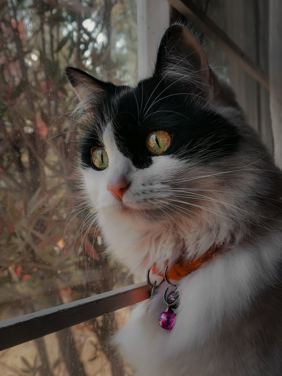 MToast0507's tweet photo. @twaniimals https://t.co/34iD8s6fG4