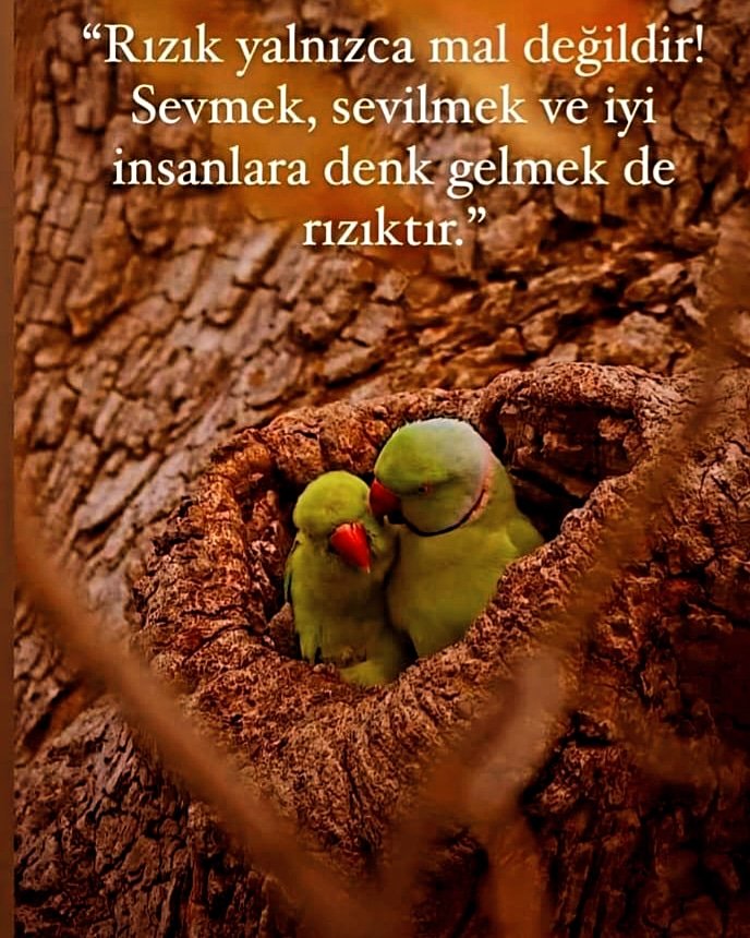 piinarr44's tweet photo. https://t.co/LcWUL2NJht