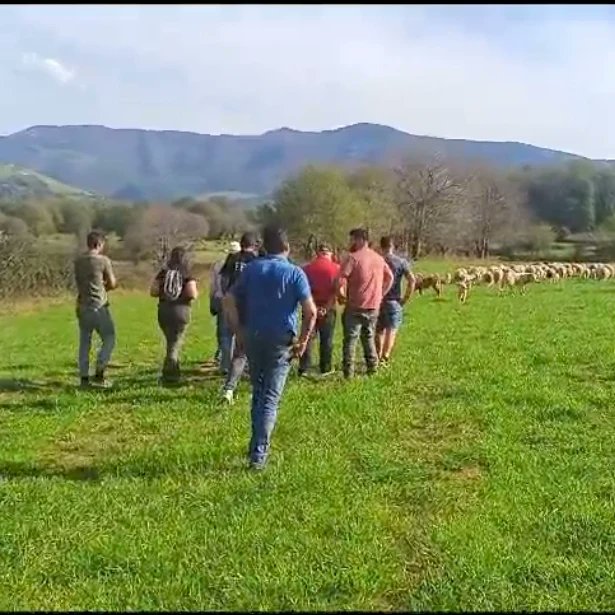 MontesdeBoado's tweet photo. Hoxe tivemos o II Encontro de Gandeiros de Ovella Galega nas terras de Samos e Triacastela. Xuntarse, falar, intercambiar,aprender, relaxarse.. https://t.co/D9hiAZ5X9g