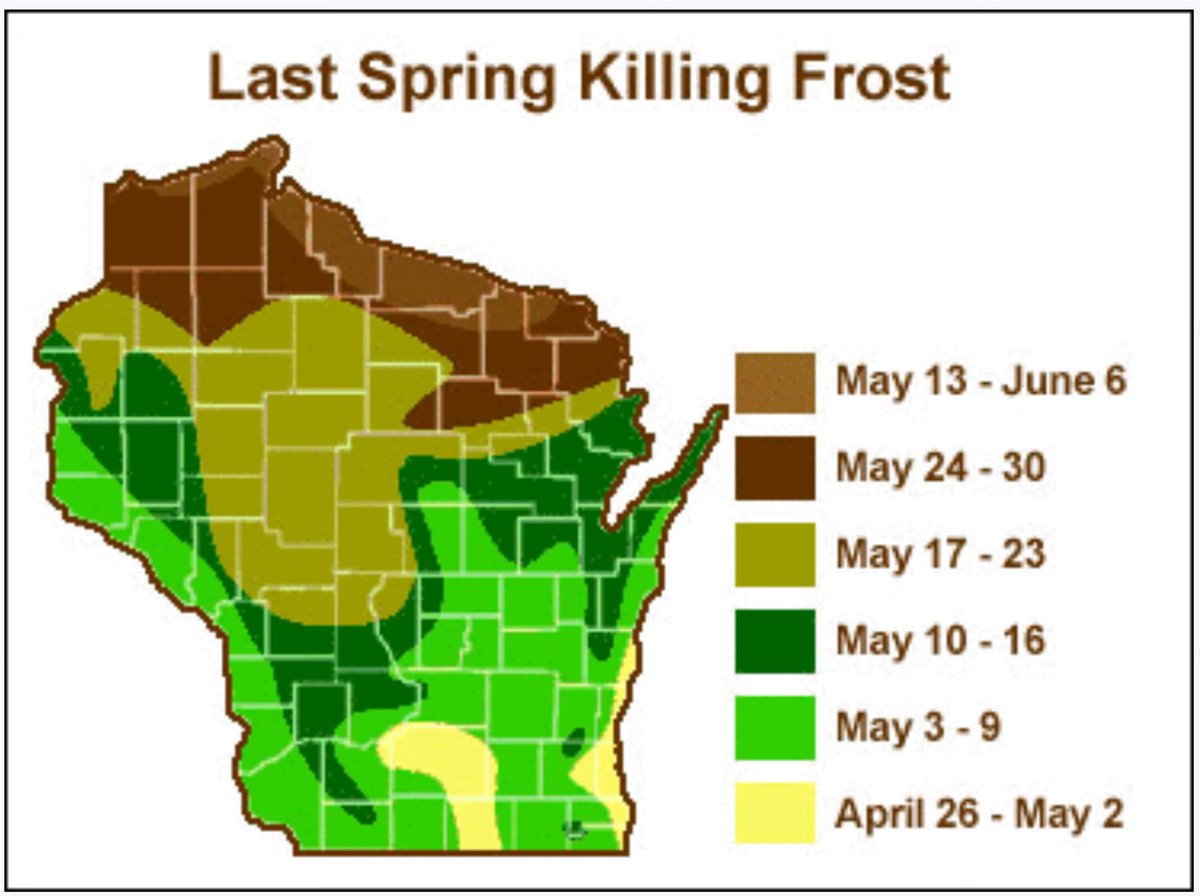 For cool season veggies that were started indoors, you can begin transplanting outdoors 4-5 weeks before the last frost (extension.psu.edu/vegetable-plan…). We’re approaching that for a lot of the state. Certainly, if we have a late hard freeze, be ready to protect your plants!