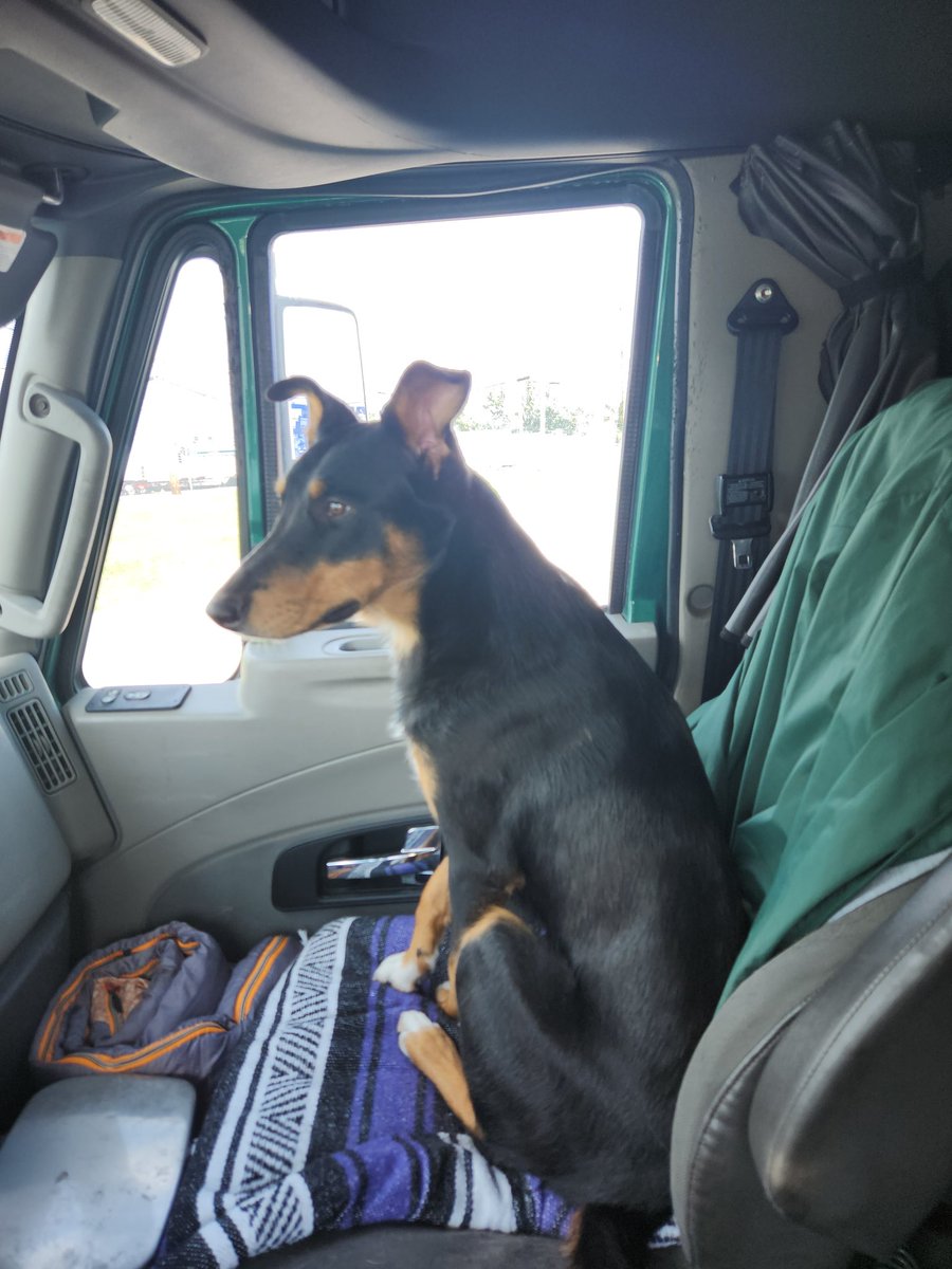 RCG_Outlaw tweet media