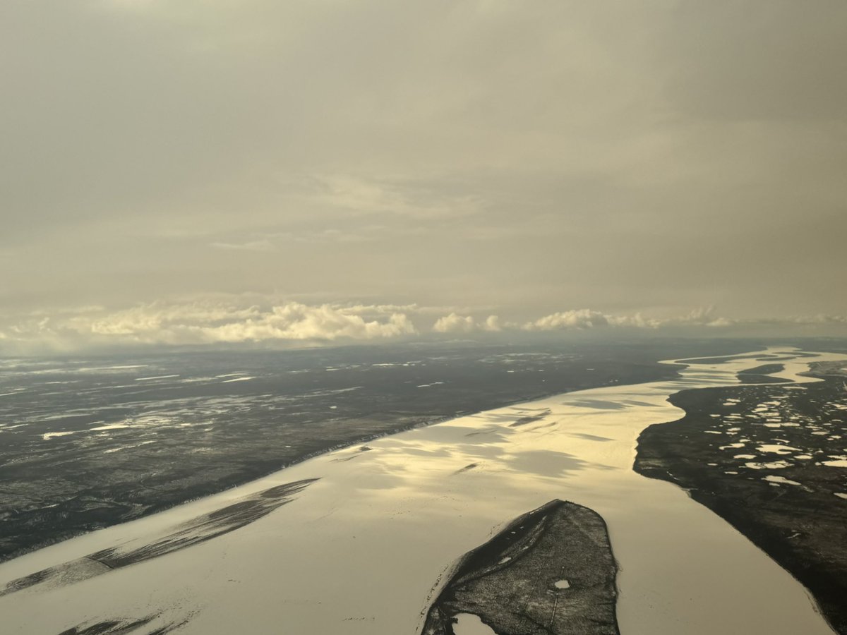 tephrafan's tweet image. View downriver on the Deh Cho at Norman Wells yesterday afternoon.