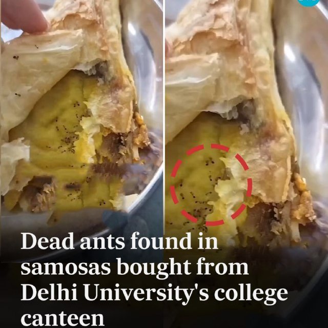 ashokmalik's tweet image. A video of #dead_ants inside #samosas purchased from DU’s #DyalSinghCollege canteen has gone #viral. 
hindustantimes.com/trending/dead-…