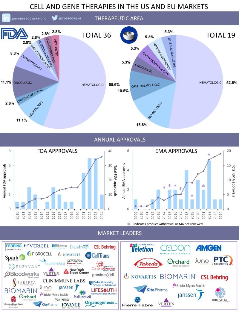 Cell & Gene Therapy Approvals (US/EU) 2009-2024 haematology: 20 (FDA), 10 (EMA) neurology: 4 (FDA), 3 (EMA) ophthalmology: 1 (FDA), 2 (EMA) oncology: 4 (FDA), 1 (EMA) gastroenterology: 1 (EMA) dermatology: 3 (FDA) immunodeficiency: 1 (FDA), 1 (EMA) musculoskeletal: 1 (FDA), 1…