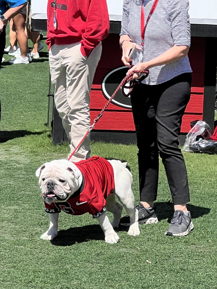 Between the hedges for G Day! 🐶 Will you be cheering on the Dawgs in ATL on 8/31 vs. Clemson? 👀 #AflacKickoff | #GoDawgs