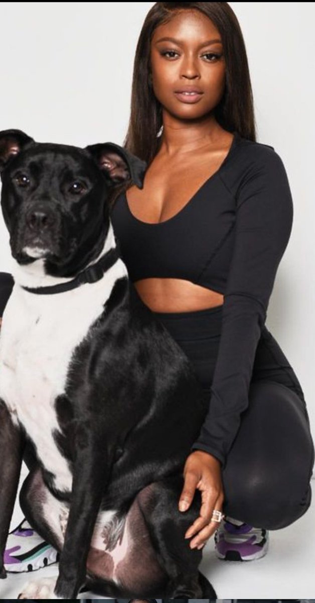 WhartonStef's tweet photo. National Pet Day!! Remix
Shootout to Kodah &amp; Judah!! #BatDogs 
#SaveBatwoman 🦇❤️❤️ https://t.co/XVN2c2x3Y5